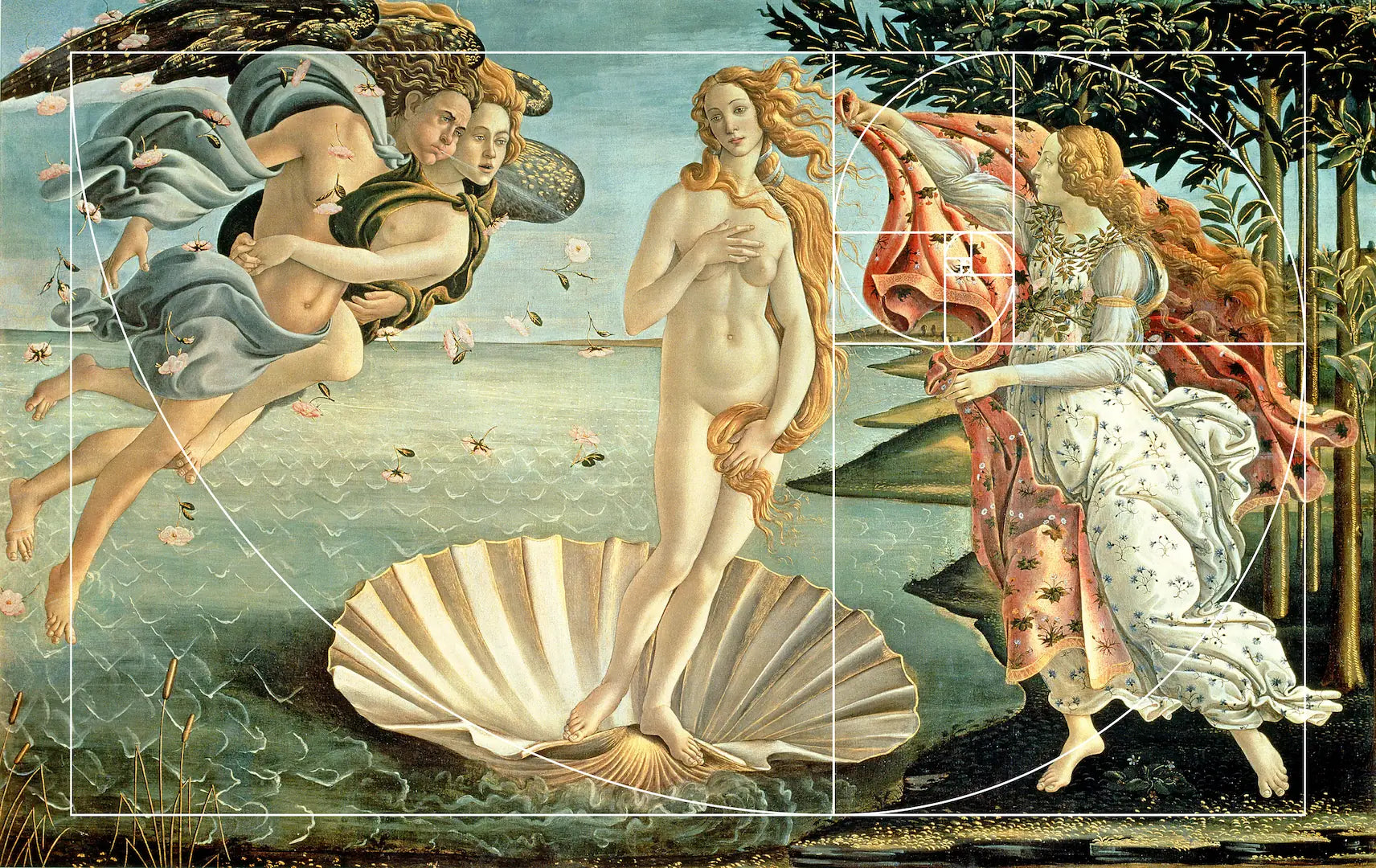 Venere di Botticelli con evidenziata la struttura a 'chiocciola' della sezione aurea che ne guida la composizione