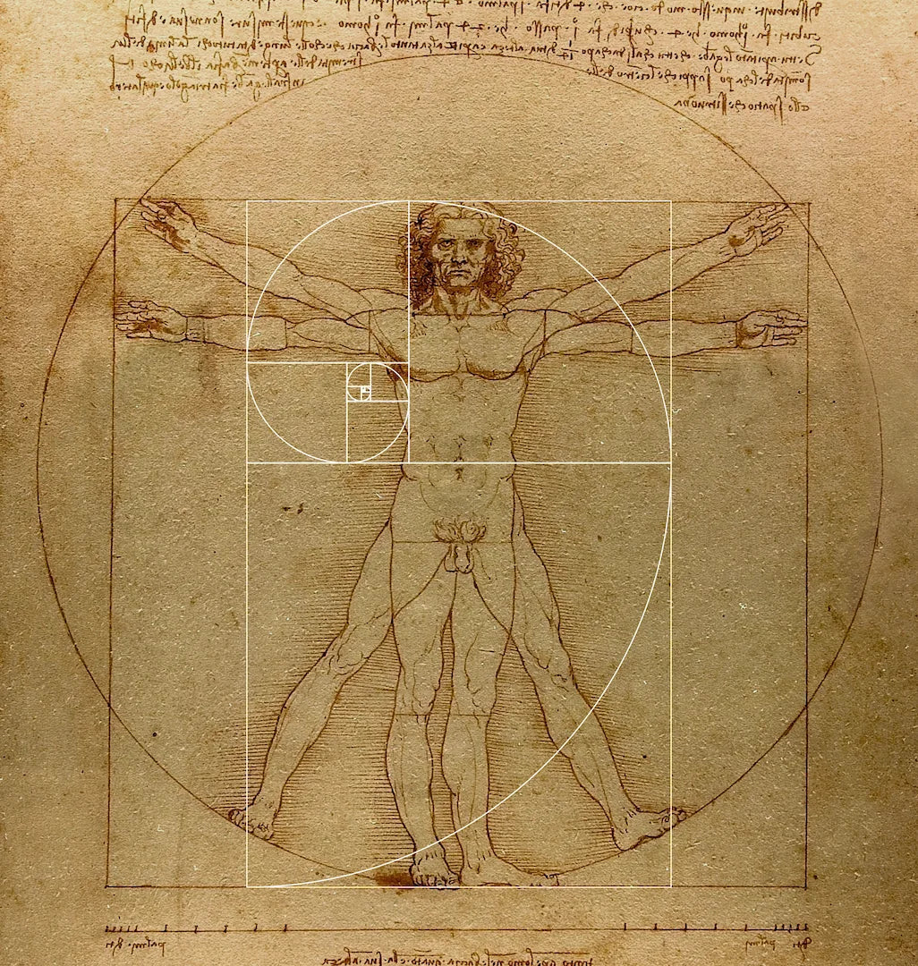 Uomo Vitruviano con evidenziata la struttura a 'chiocciola' della sezione aurea che ne caratterizza la composizione